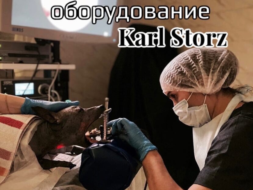 Новое эндоскопическое оборудование Karl Storz 